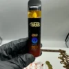 Hitz Mangoneda
